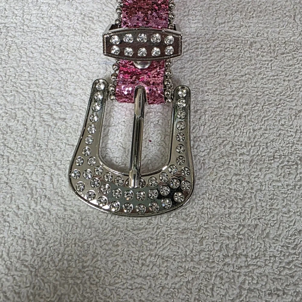 Pink Sparkle Glitter Belt with Silver Western Details
